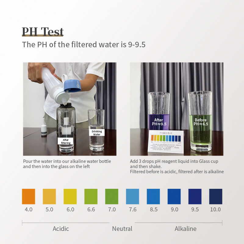 Alkaline filtered water bottle